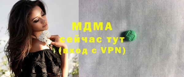 хмурый Рославль