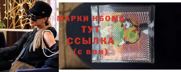 хмурый Рославль