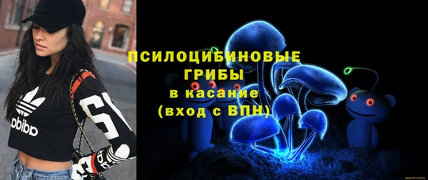 хмурый Рославль