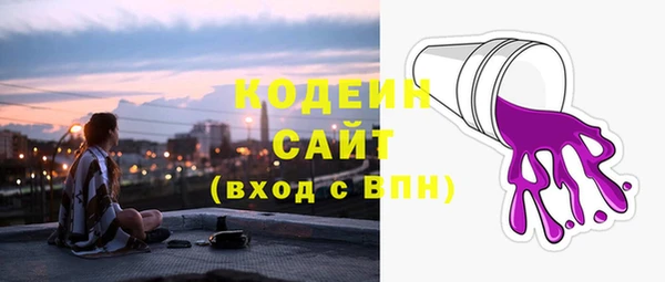 хмурый Рославль