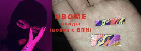 хмурый Рославль