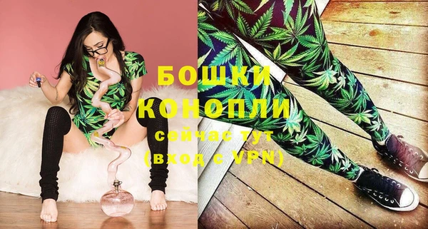 хмурый Рославль