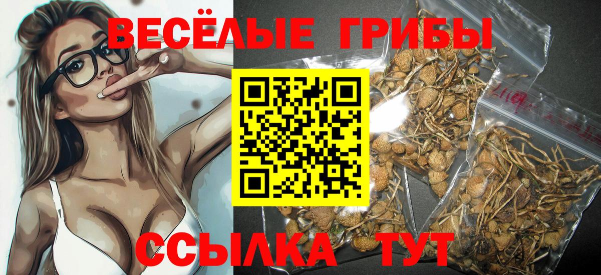 Галлюциногенные грибы мухоморы Шахты