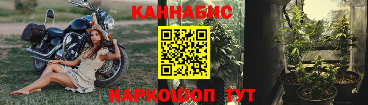 Бошки Шишки AK-47 Шахты